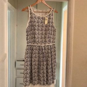 Max Studio adorable daisy dress, brand new, XL.